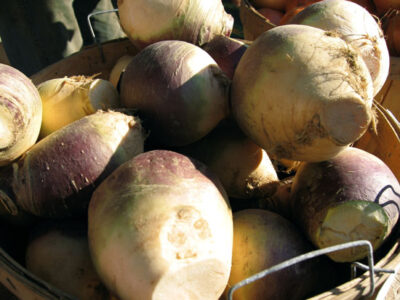 Easy Vegan Scalloped Rutabagas Image